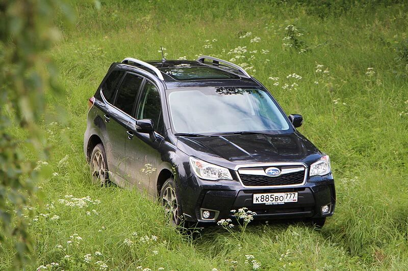 Форестер тест драйвы. Subaru Forester 2013 года. Субару Форестер тест драйв. Субару Форестер 22. Subaru Forester 3008 дизель.