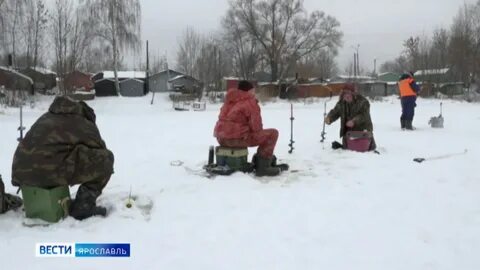 Вести с водоема кузбасс