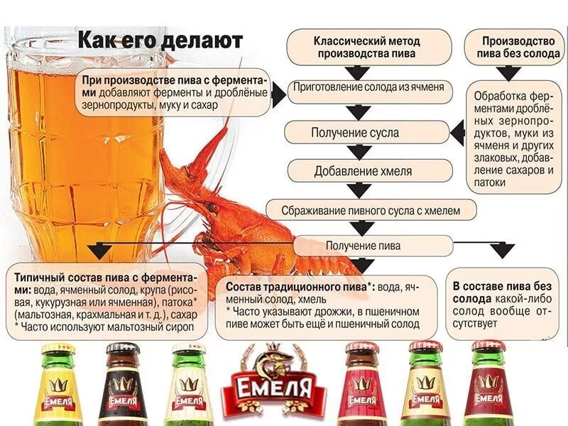 Пиво производители. Из чего делается пиво. Как часто можно пиво