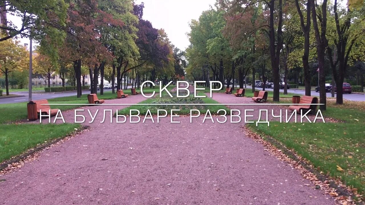 Бульвар разведчика петергоф. Бульвар разведчика петергоф