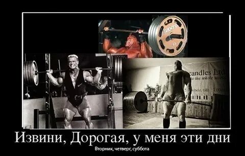 Извиняюсь дорогая