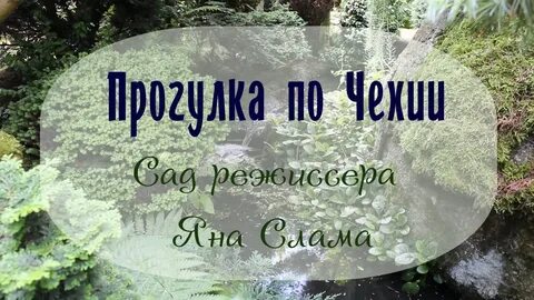 В саду была я не одна