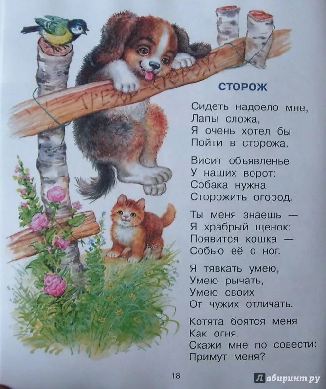 Сторож стих