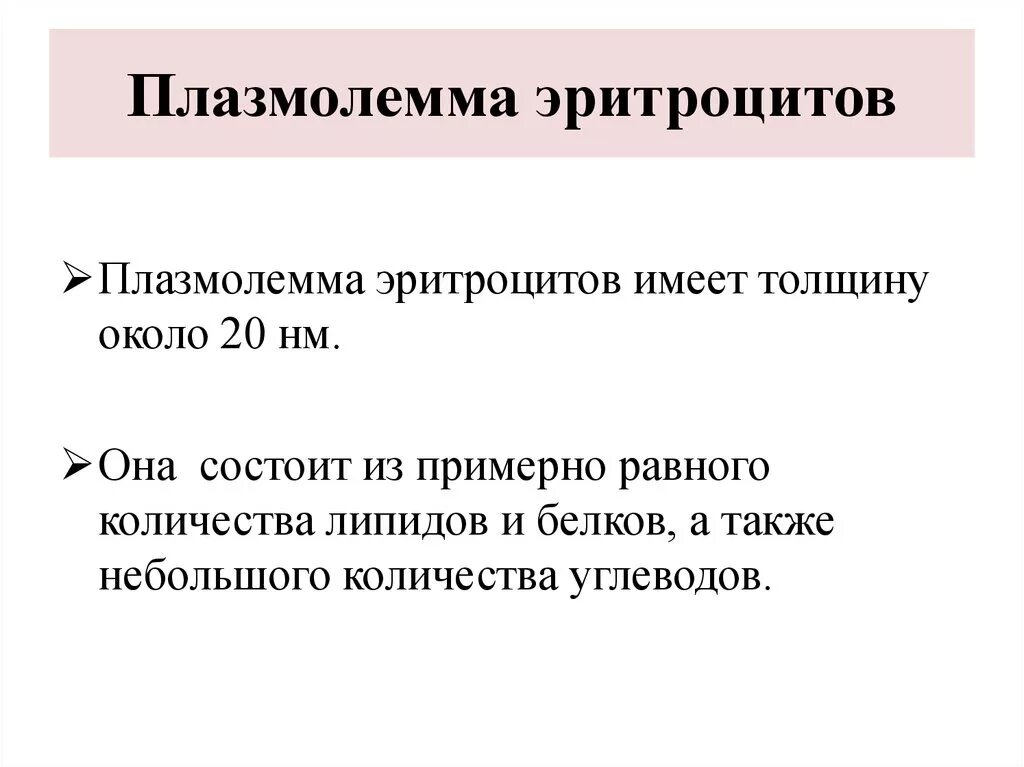 Плазмолемма эритроцита. Особенности строения плазмолеммы эритроцита. Строение плазмолеммы эритроцита. Слой плазмолеммы эритроцита.