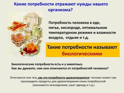 Потребности человека вопросы