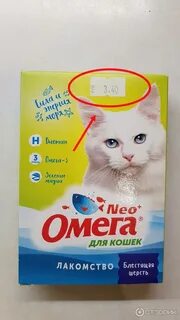 Нео кошка