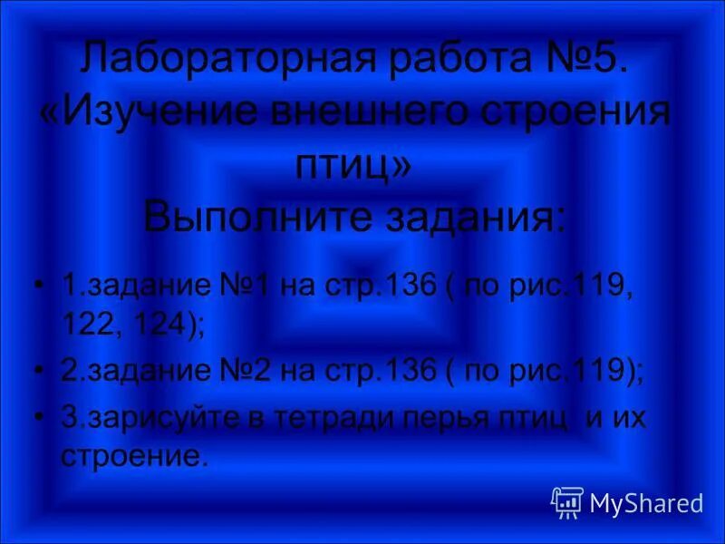 Лабораторная работа 8 изучение внешнего строения птиц. Лабораторная работа изучение внешнего строения птиц. Лабораторная работа 7 класс на тему изучение внешнего строения птиц. Лабораторная работа изучение внешнего строения птиц. Лабораторная работа по биологии по теме внешнее строение птицы.