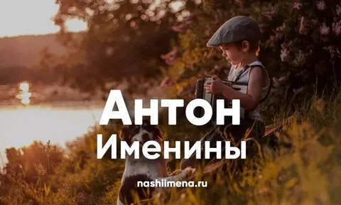День антона текст