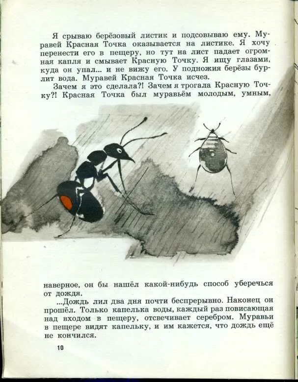 Какие насекомые помогали муравьишке добраться домой. Муравей красная точка книга. Сказка про муравья. Сказка про муравьев. Сказка про муравья красная точка.