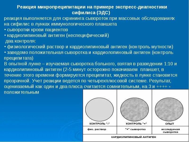 В результате исследования был сделан