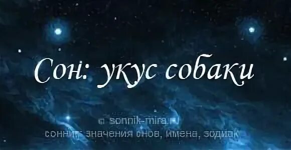 Собака кусает во сне к чему мужчине. Сонник к чему снится собака. Сонник-толкование снов собака. К чему снится укус собаки во сне. К чему снится что во сне собака укусила?.