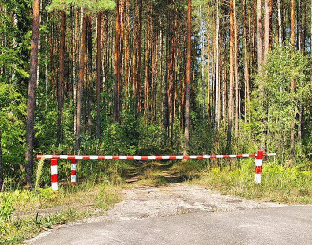 Шлагбаум в лесу. Шлагбаум в лесах. Противопожарные шлагбаумы в лесах. Противопожарный шлагбаум в лесу. Пребывая в лесу