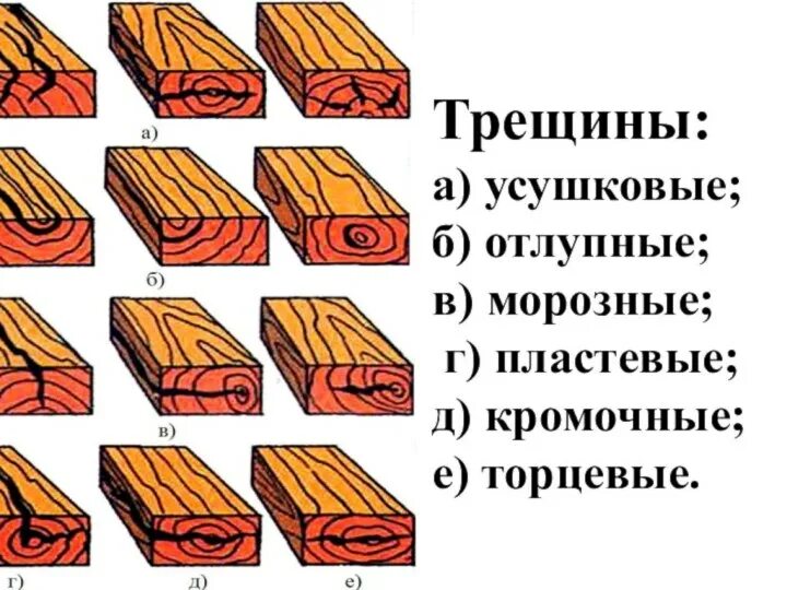 Отлупные трещины древесины. Пластевые трещины усушки. Пластевая трещина в древесине. Классификация трещин древесины.