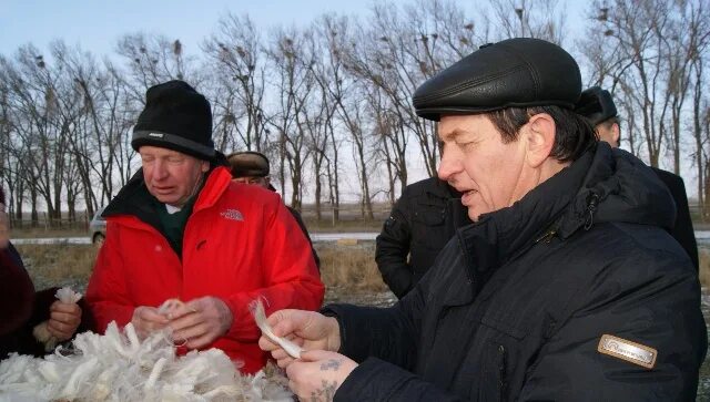 маныч-гудило дивное. зао шахаевское веселовский район. село дивное колхоз маныч. маныч-гудило калмыкия. колхоз маныч.