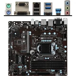 B m pro
