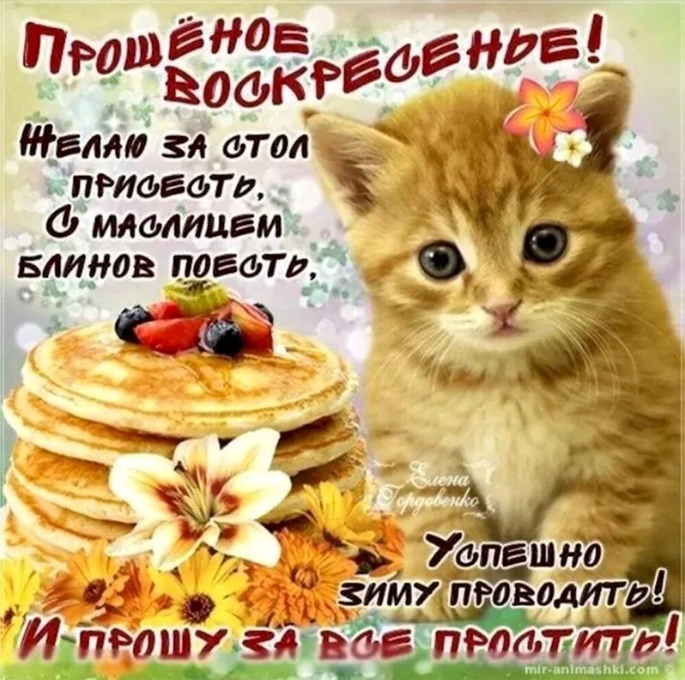 Прикольные видео с прощенным воскресеньем для ватсап. Открытки с масленицей. поздравления с прощенным воскресеньем и масленицей. открытки с прощённым воскресеньем. открытки с масленицей и прощенным воскресеньем.