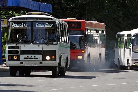 Тараз бус