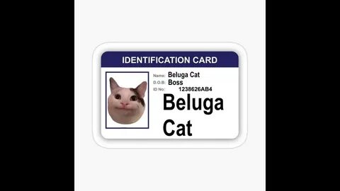 Id cats