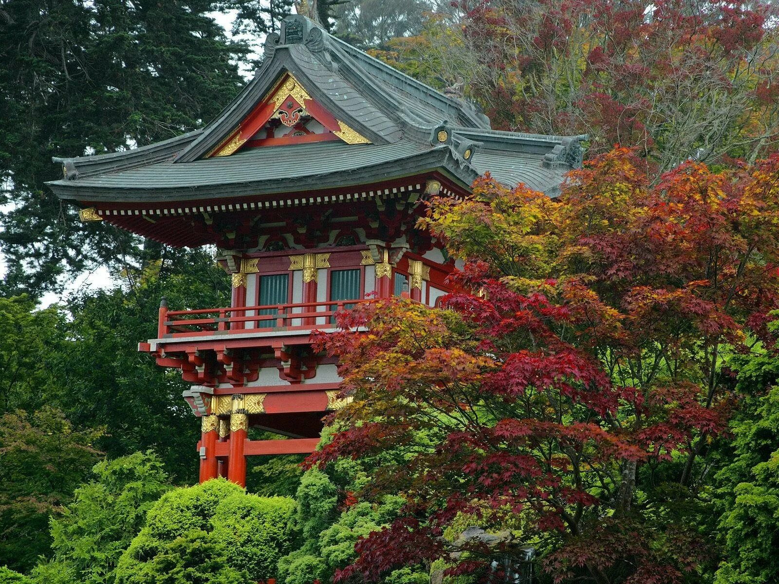 Японский дом 6 букв. Дом храм Япония. Чайных храм в Японии. Архитектура чайный домик Япония. Чайный дом в Китае.