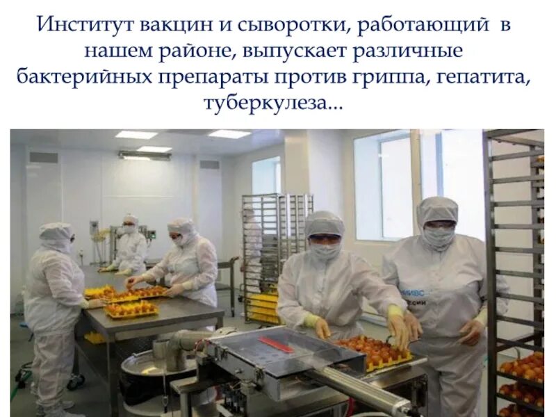 Нии вакцин и сывороток красное село. Спбниивс вакцины. Фгуп спбниивс фмба. Санкт петербургский научно исследовательский институт вакцин. Санкт петербургский научно исследовательский институт вакцин.