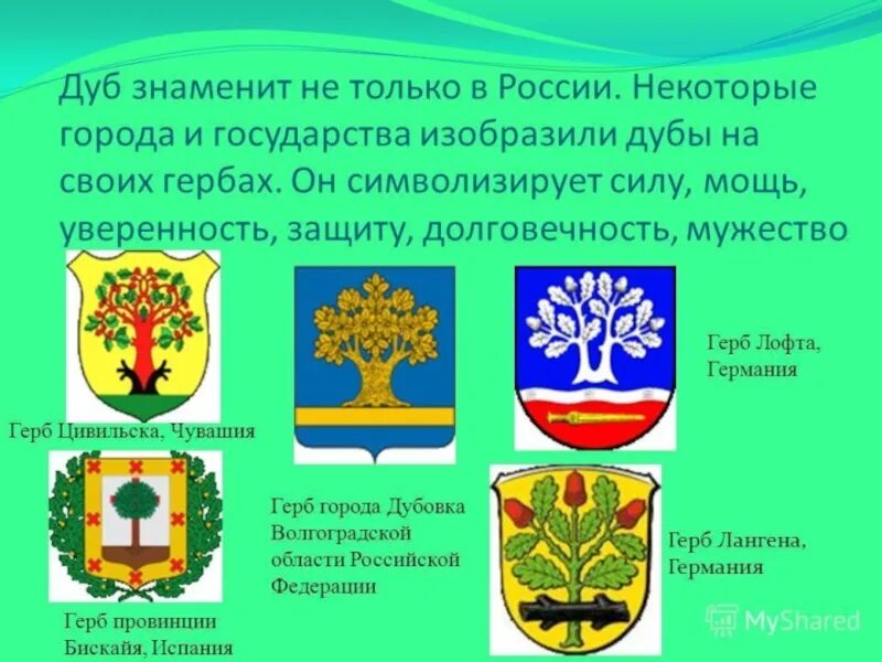 Дуб на гербах городов России. Дуб на гербе. Герб города с изображением растения. Дуб символ для герба.