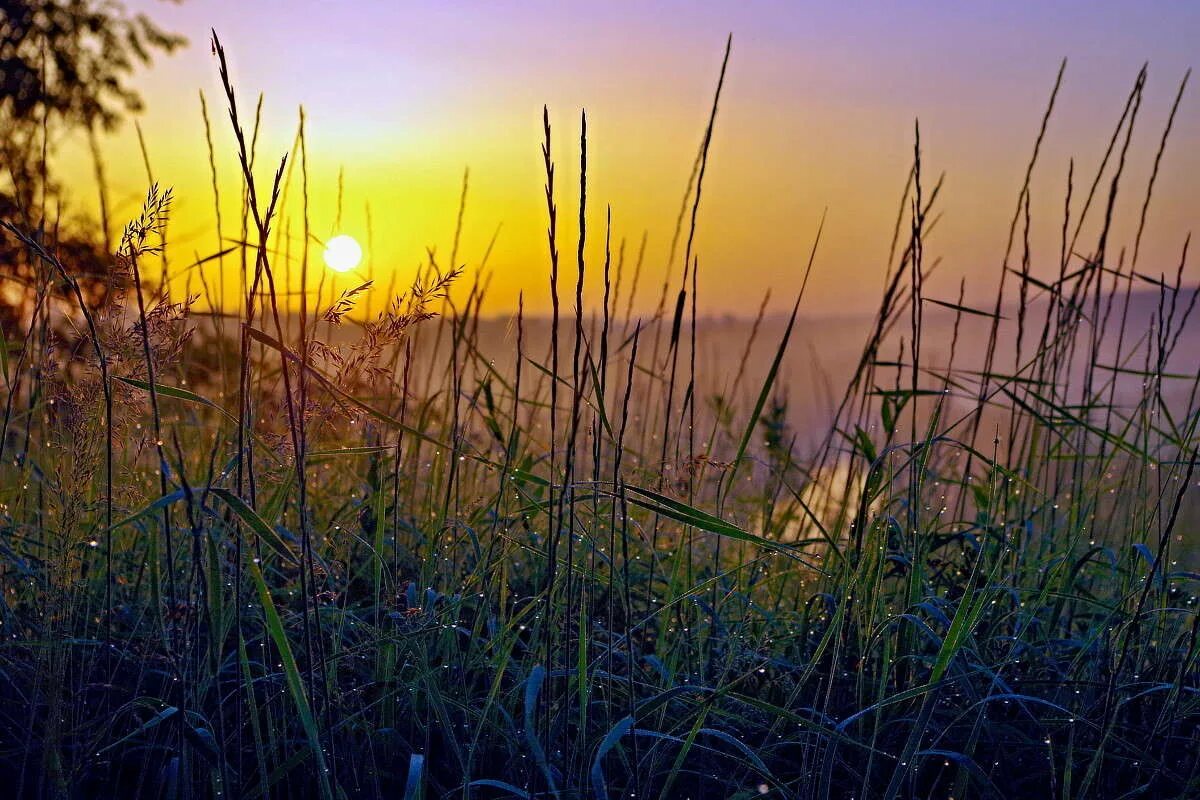 солнце встает ремикс