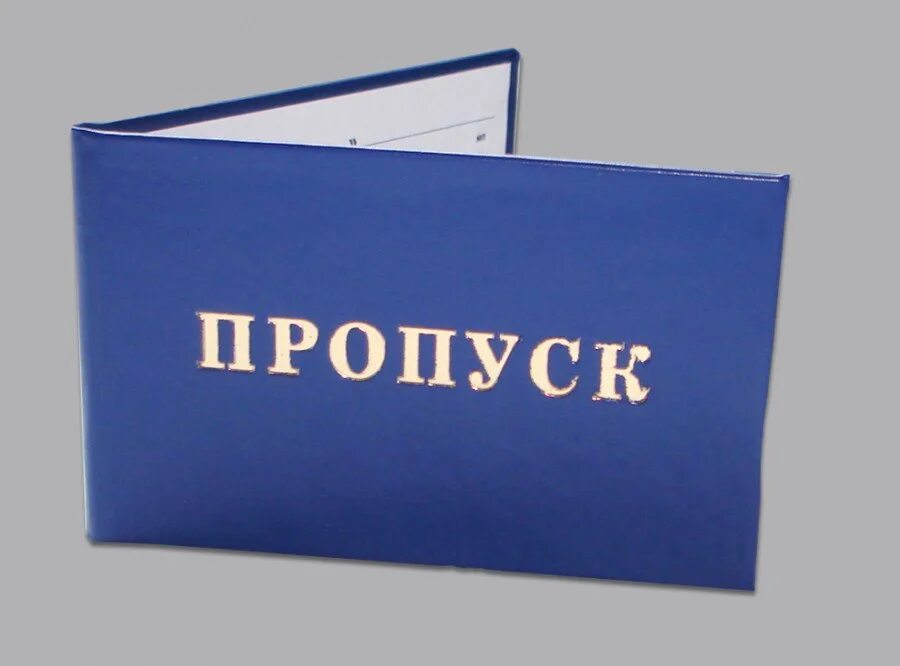 Пропуск обеда. Пропуск корочка. Пропуск для презентации. Красивый пропуск. Пропуск картинка.