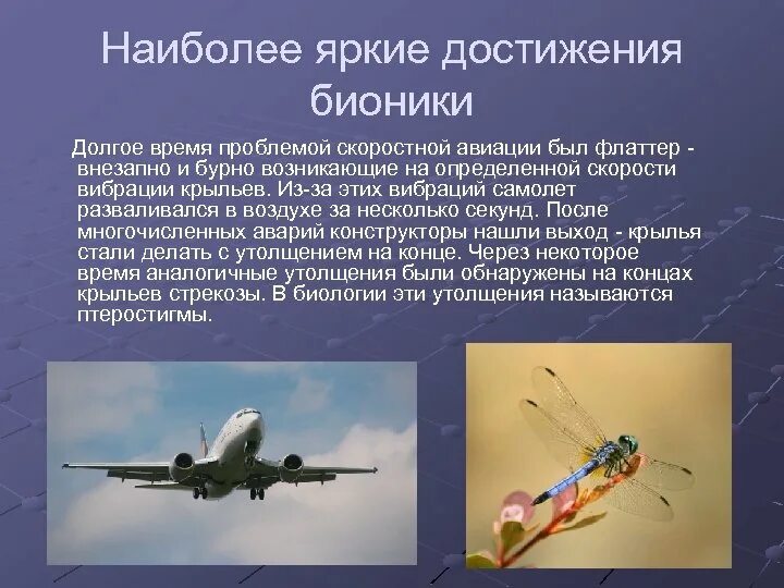 Приведите примеры достижений. Достижения бионики. современные достижения бионики. достижения бионики примеры. успехи бионики и биомиметики.