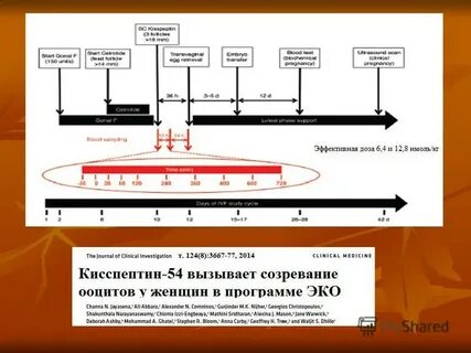 Схема стимуляции