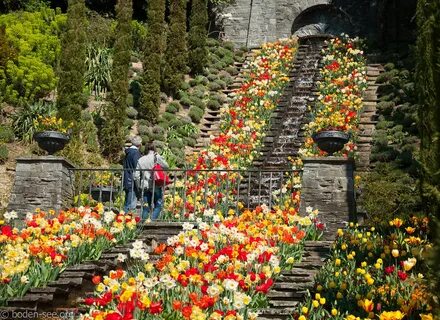 Flower island