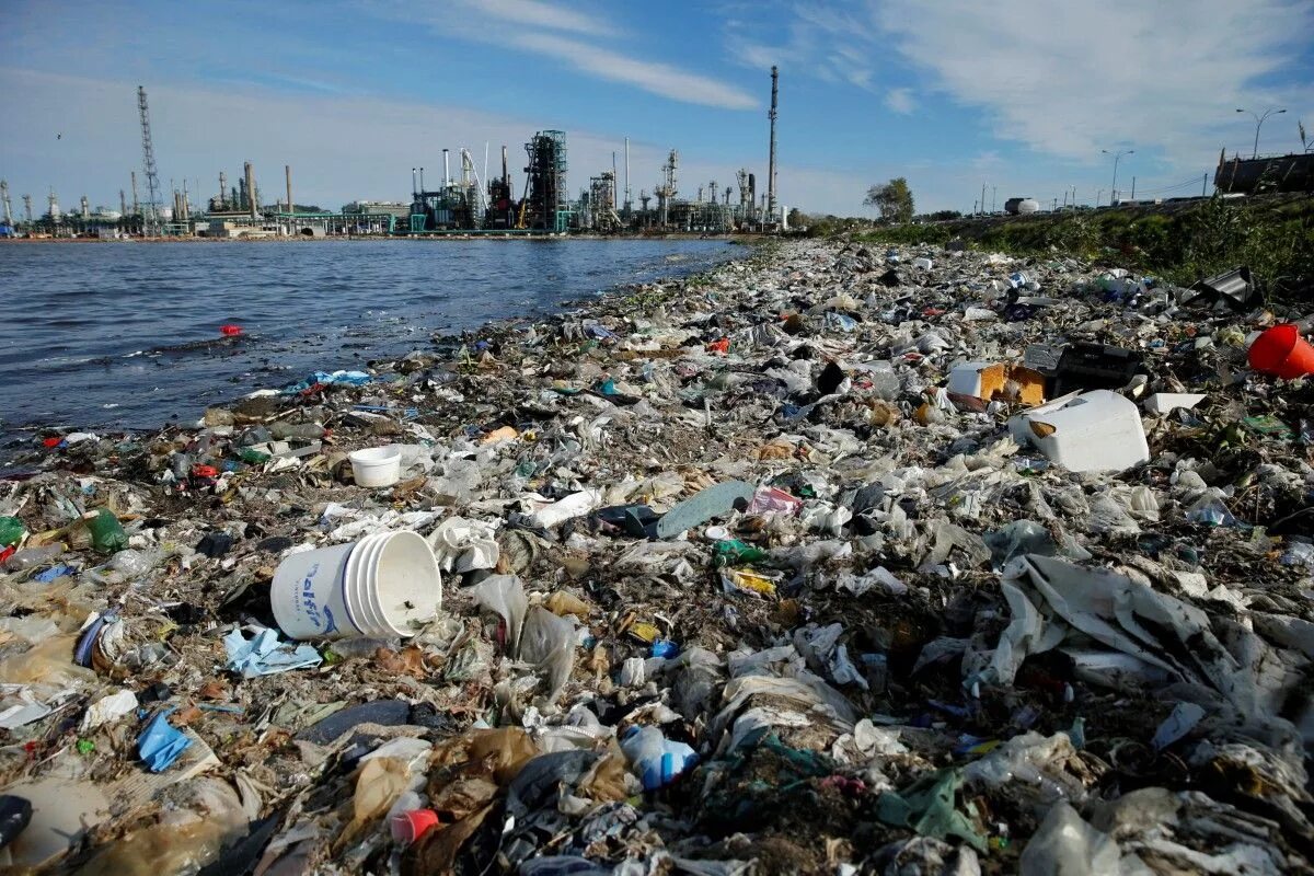 чрезвычайная окружающая среда. чрезвычайные ситуации в экологии. экология загрязнение атмосферы. экологические катаклизмы. зоологическая катастрофа.