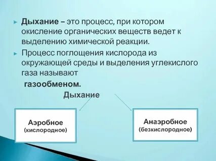 Какой процесс называют дыханием 6 класс