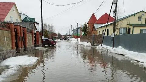 Тарко сале отзывы