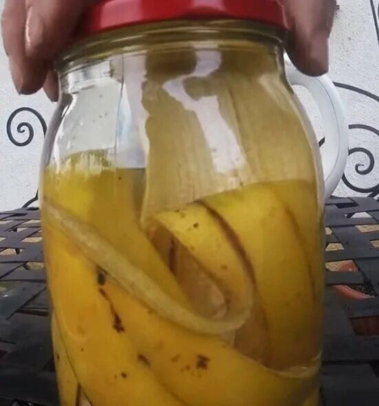 Рецепт банановой кожуры. Настой из кожуры банана. Бананы в банке. Удобрение из банановой кожуры. Кожура банана в банке.