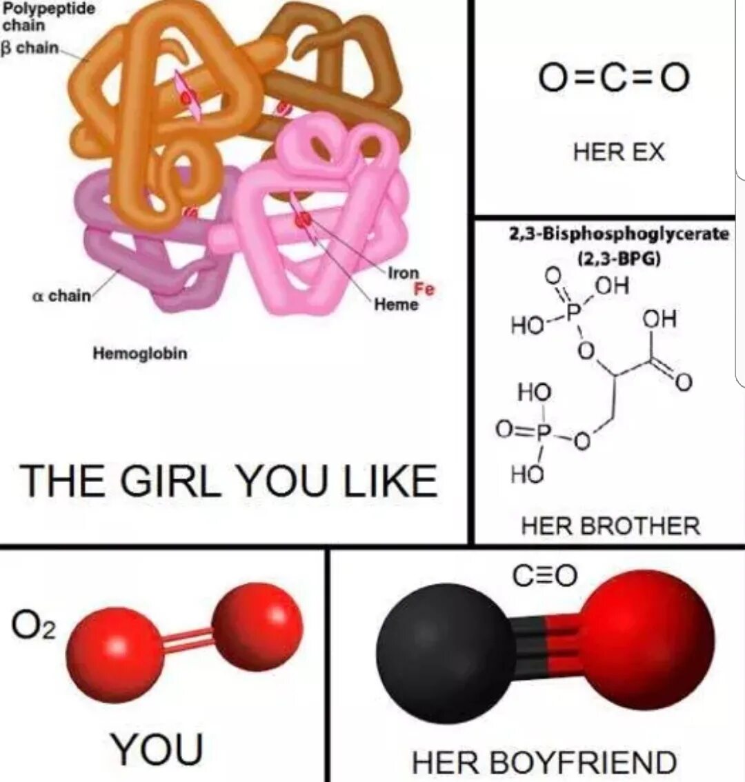 Полипептиды 8. Биохимия Мем. Биохимия приколы. Мемы по биохимии. Хим био мемы.
