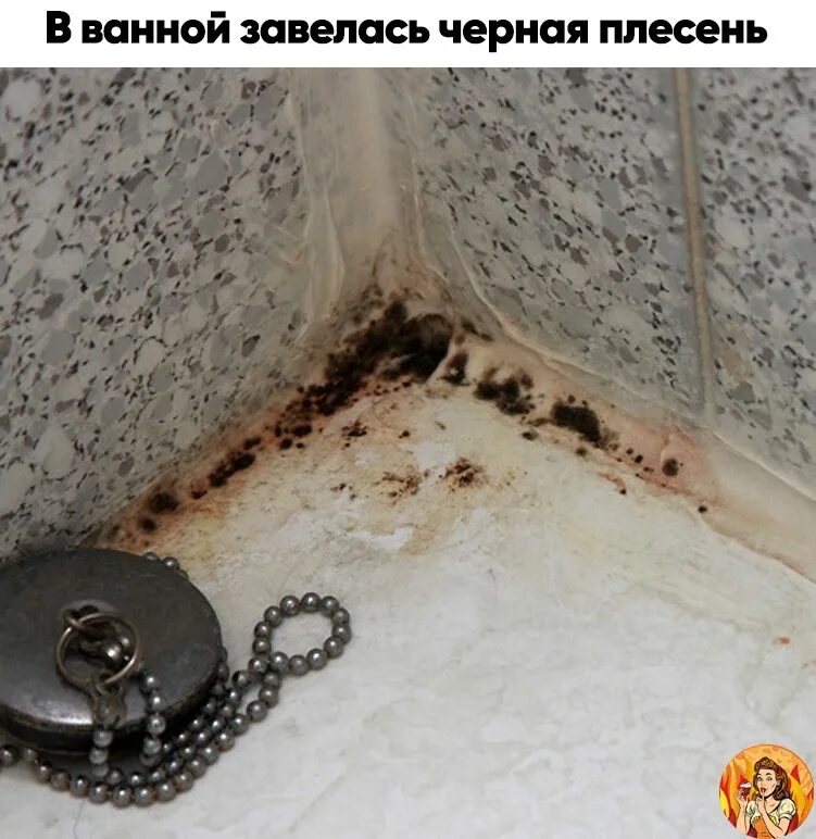 Как избавиться от плесени на герметике