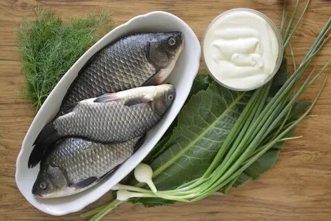 Карась рыба смирная к идеализму склонная недаром