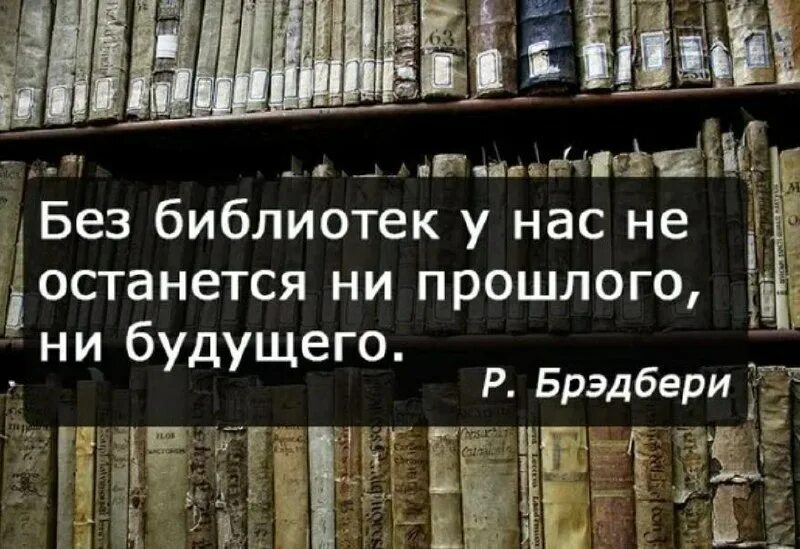 Цитаты о библиотеке и библиотекарях. Высказывания о библиотеке в картинках. Цитаты о книгах и библиотеках. Цитаты о библиотеке и книге. Плакаты для библиотеки.