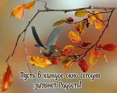 Желаю добрых перемен