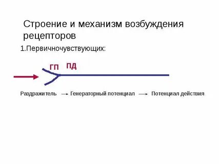 Генераторный потенциал это