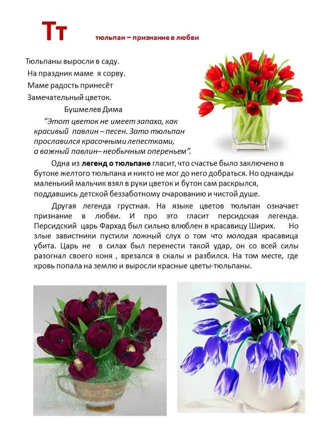 Цвет цветов тюльпанов значение. Значение тюльпана на языке цветов. Жёлтые тюльпаны на языке цветов. Что означает красный тюльпан на языке цветов. О тюльпане кратко.