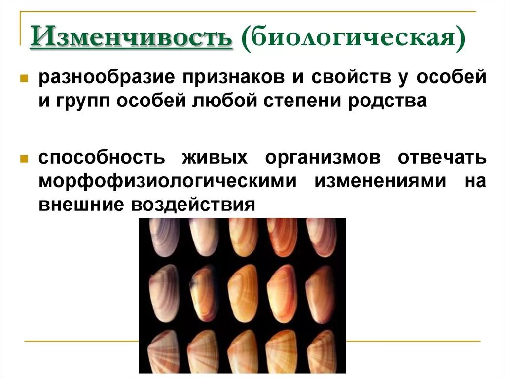 Презентация на тему : "Изменчивость"