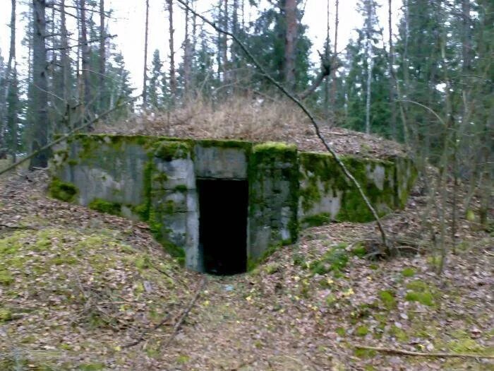 Оп пос калинино. Поселок калинино выборг. дот крыша.