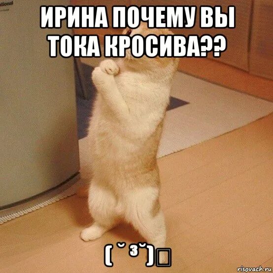 Иришка прикол. Прикольные картинки про иру. приколы про иру. шутки про иру. смешные картинки про ирочку.