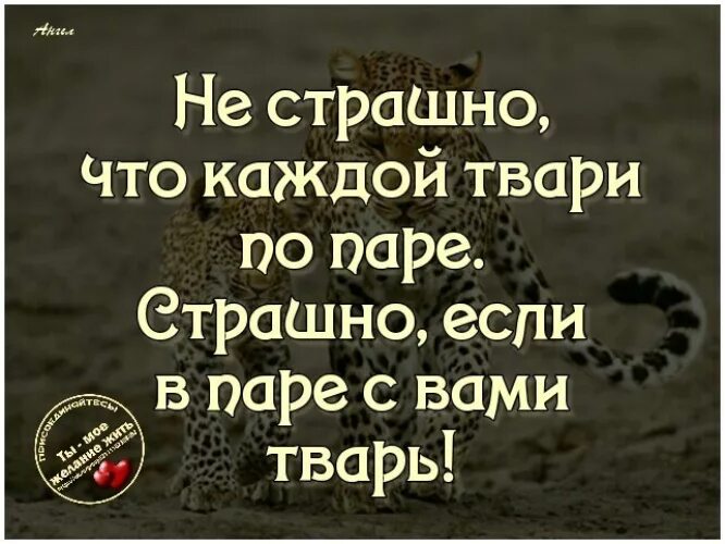 Жизнь помотала картинки. Лучше быть тихой воспитанной тварью. Мужчина обязан мем. Животные нп против людей картинка. Шеррилин кеньон оборотни.