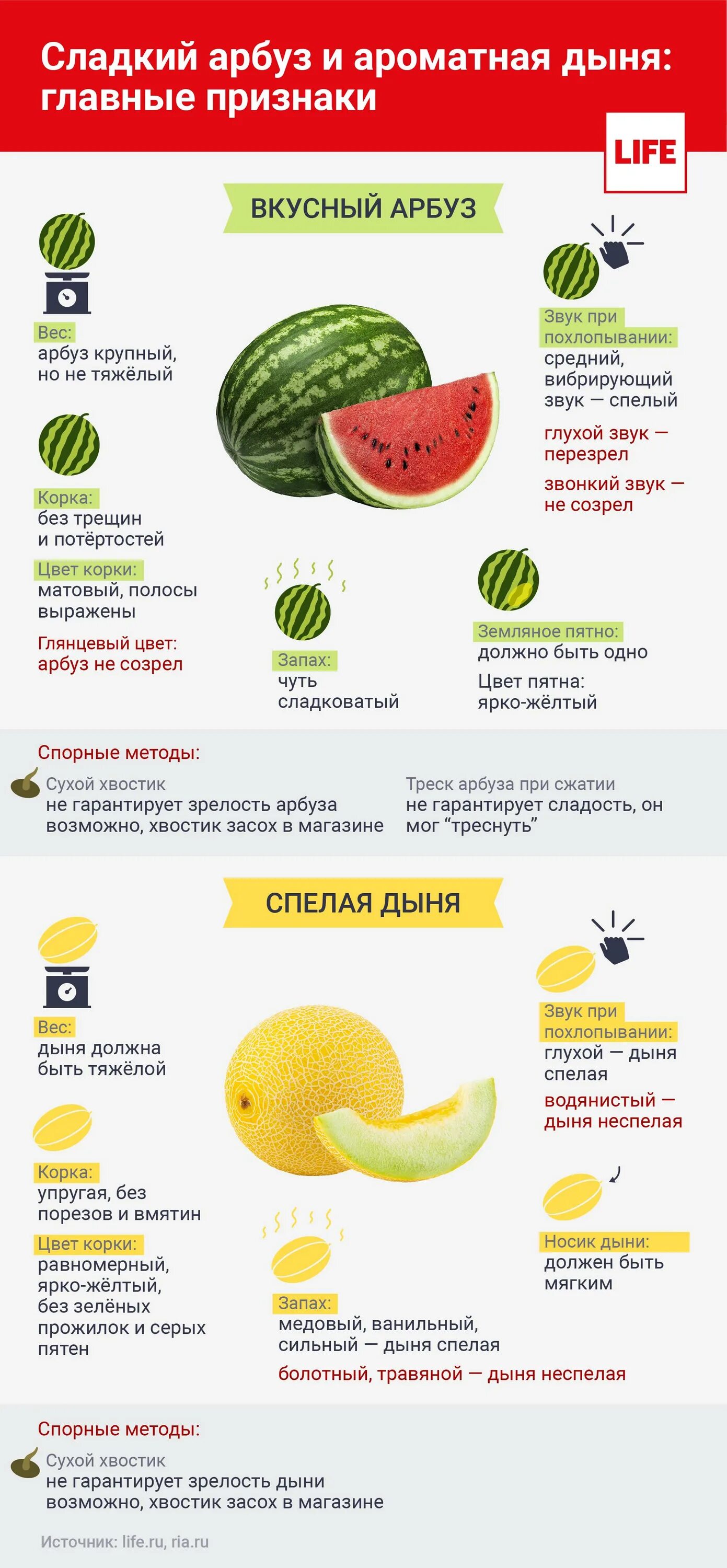 Можно ли дыню на голодный желудок. Как выбрать вкусную дыню. выбираем дыню правильно. как правильно выбрать дыню. калорий в дыне и арбузе.