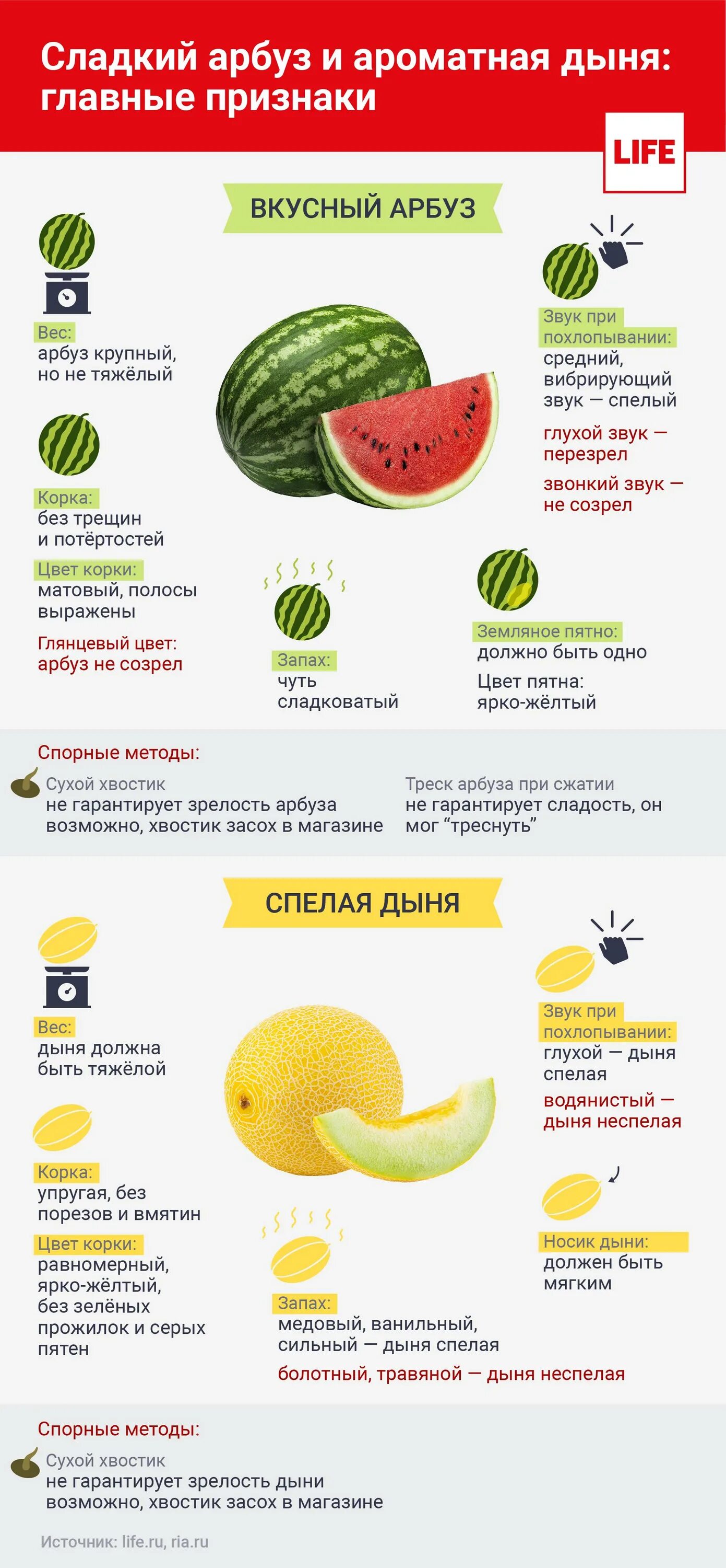 Как выбрать дыню. Как выбрать вкусную дыню. Выбираем дыню правильно. Как правильно выбрать дыню.