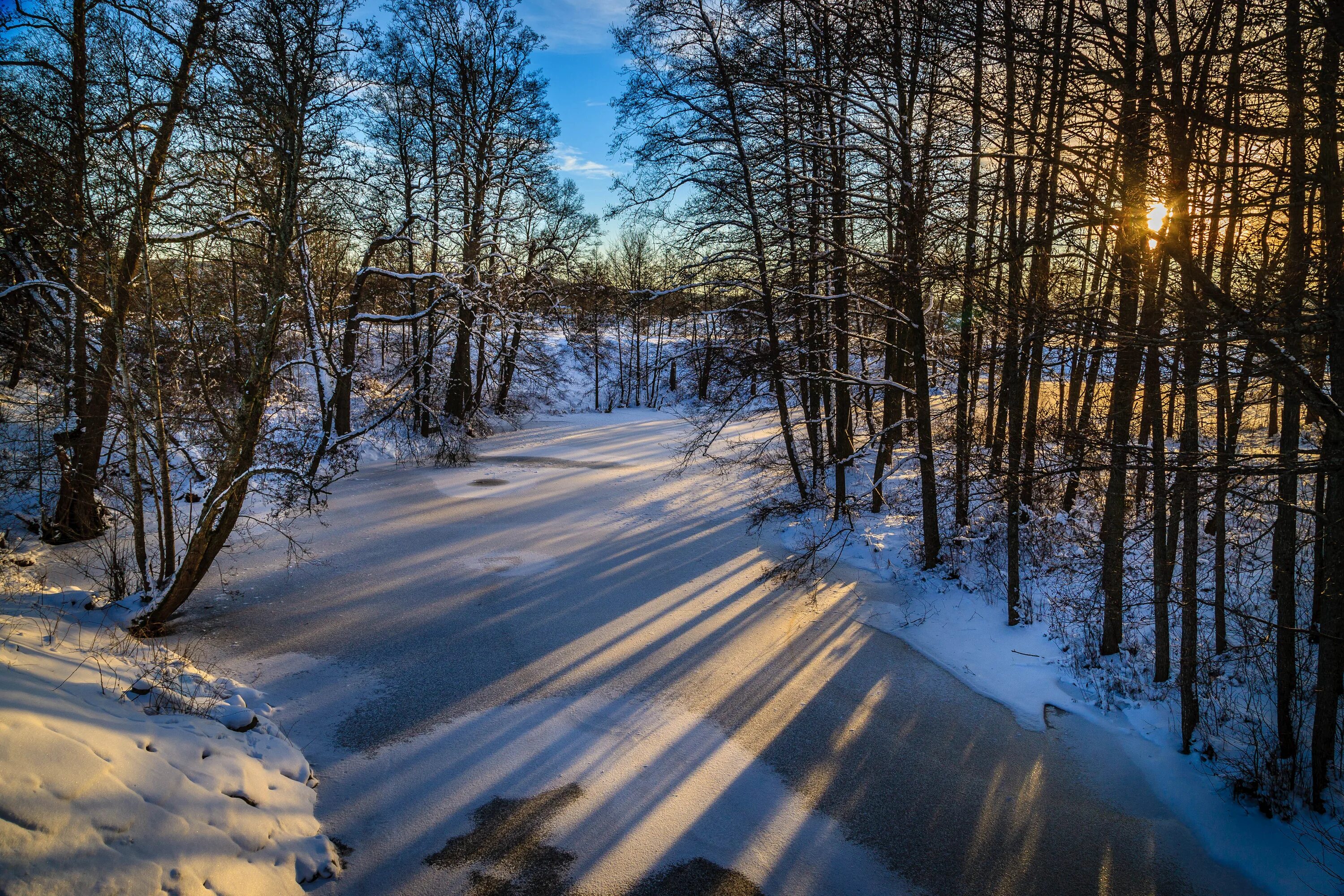 Зимняя природа. Тропинка в зимнем лесу. Февраль природа. Конец зимы. Утро природа февраль