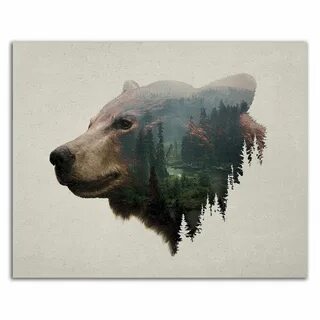 Bear pieces