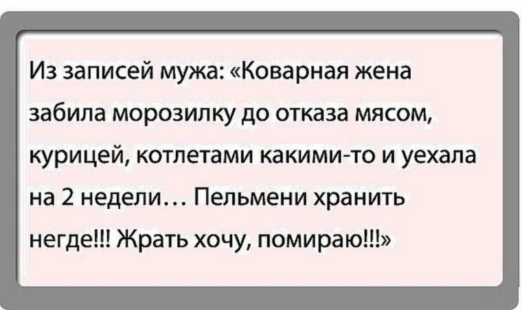 Анекдот. Анекдоты про мужа и жену. Анекдоты про море. Анекдот про море и отпуск. Жена записывает видео мужу